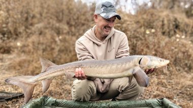 Super-Rare Dinosaur Fish! Angler Gets Astounded After Finding The Endangered Lake Sturgeon on Kansas River (See Pic)